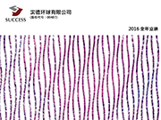 2016全年业绩