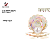 2017全年业绩