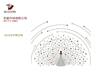 2018中期业绩