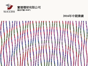 2016中期業績