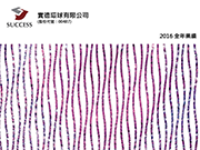 2016全年業績